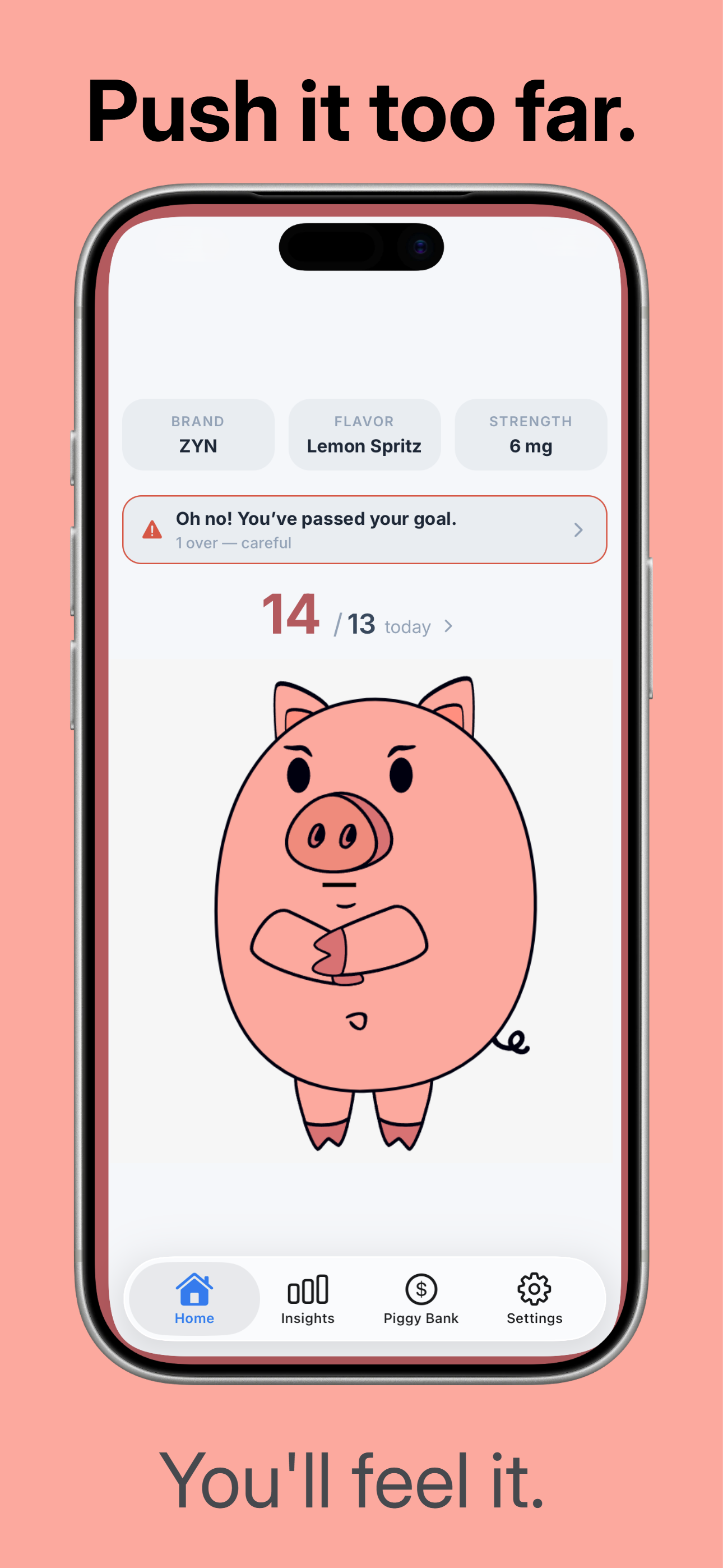 PouchPig over-limit screen