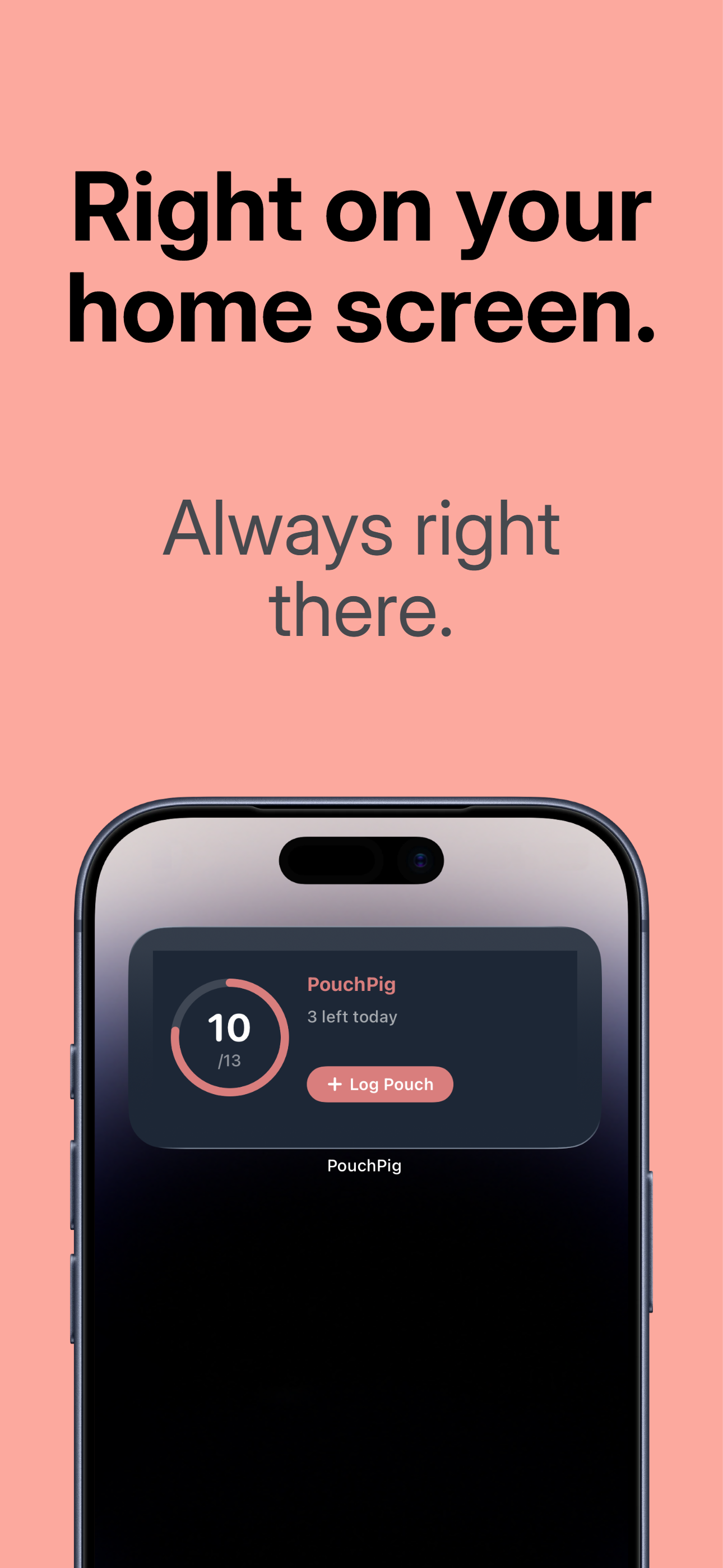 PouchPig widget screen